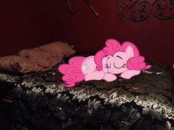 Size: 3264x2448 | Tagged: safe, artist:sernido, pinkie pie, earth pony, pony, g4, bed, high res, irl, photo, ponies in real life, sleeping, vector