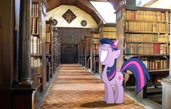 Size: 3072x1948 | Tagged: safe, artist:hachaosagent, twilight sparkle, pony, g4, big smile, epic smile, happy, irl, library, photo, ponies in real life, shadow, the promised land, vector