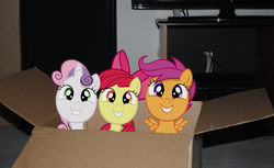 Size: 3868x2372 | Tagged: safe, artist:supernatural190, apple bloom, scootaloo, sweetie belle, earth pony, pony, g4, box, cutie mark crusaders, high res, irl, photo, ponies in real life, smiling, vector