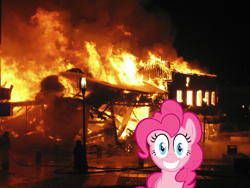 Size: 1136x852 | Tagged: safe, pinkie pie, earth pony, pony, g4, disaster girl, fire, irl, meme, photo, ponies in real life, vector