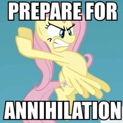 Size: 333x333 | Tagged: safe, fluttershy, g4, caption, image macro