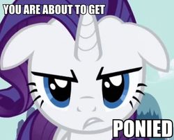 Size: 600x484 | Tagged: safe, rarity, pony, g4, caption, image macro, solo