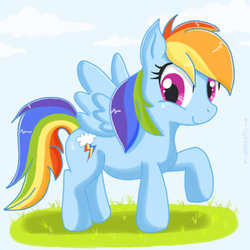 Size: 512x512 | Tagged: safe, artist:domestic-hedgehog, rainbow dash, pegasus, pony, g4, female, solo