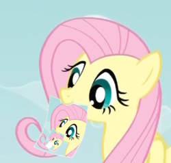 Size: 324x309 | Tagged: safe, fluttershy, g4, droste effect, exploitable meme, fluttershy's note meme, meme, recursion