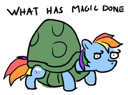 Size: 571x426 | Tagged: safe, artist:moronsonofboron, rainbow dash, tank, g4, shell, what has magic done, what has science done