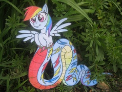 Size: 1152x864 | Tagged: safe, artist:spectrum-sparkle, rainbow dash, lamia, original species, g4, papercraft, photo, rainbow coils, solo, transformation