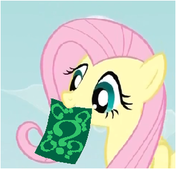 Size: 289x276 | Tagged: safe, fluttershy, g4, clue, exploitable meme, fluttershy's note meme, meme, riddle me this, the riddler