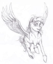 Size: 659x800 | Tagged: safe, rainbow dash, g4, realistic, traditional art