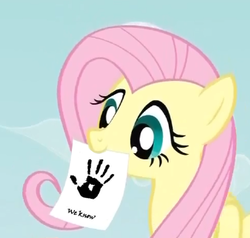 Size: 324x309 | Tagged: safe, fluttershy, g4, dark brotherhood, dovahshy, exploitable meme, fluttershy's note meme, meme, skyrim, the elder scrolls