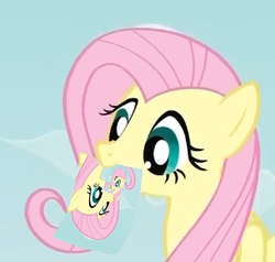 Size: 324x309 | Tagged: safe, fluttershy, g4, droste effect, exploitable meme, fluttershy's note meme, meme, recursion