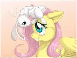 Size: 800x600 | Tagged: safe, artist:inuhoshi-to-darkpen, angel bunny, fluttershy, g4, blushing, bust, fluffy, gradient background