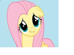 Size: 800x600 | Tagged: safe, edit, edited screencap, screencap, fluttershy, pegasus, pony, g4, female, floppy ears, folded wings, inverted mouth, looking at you, mare, needs more jpeg, smiling, solo, wings