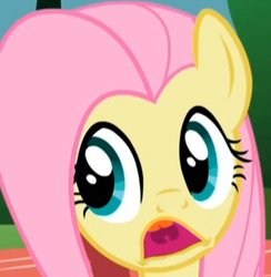 Size: 339x348 | Tagged: safe, edit, screencap, fluttershy, g4, may the best pet win, faic, inverted mouth, ponyface