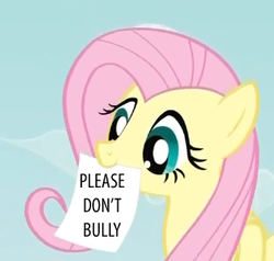 Size: 324x309 | Tagged: safe, fluttershy, g4, exploitable meme, fluttershy's note meme, meme, please don't bully