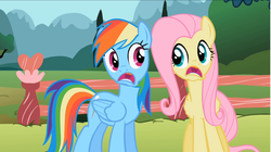 Size: 1856x1043 | Tagged: safe, edit, screencap, fluttershy, rainbow dash, g4, may the best pet win, faic, inverted mouth