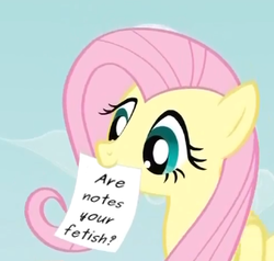 Size: 324x309 | Tagged: safe, fluttershy, g4, exploitable meme, fetish, fluttershy's note meme, meme, note