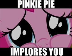 Size: 427x332 | Tagged: safe, pinkie pie, g4, implore, implores