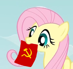 Size: 324x309 | Tagged: safe, fluttershy, g4, communism, exploitable meme, fluttershy's note meme, hammer and sickle, meme, mouth hold, note