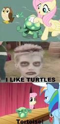 Size: 512x1050 | Tagged: safe, fluttershy, rainbow dash, tank, human, g4, comic, i like turtles, image macro