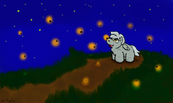 Size: 854x512 | Tagged: safe, artist:mr tiggly the wiggly walnut, firefly (insect), fluffy pony, night