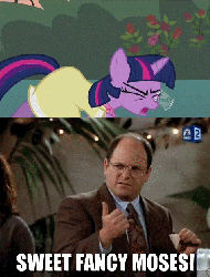 Size: 478x628 | Tagged: safe, edit, edited screencap, screencap, twilight sparkle, g4, sweet and elite, adorkable, animated, cute, dancing, do the sparkle, dork, female, george costanza, glasses, irl, male, photo, seinfeld