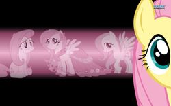 Size: 1280x800 | Tagged: safe, fluttershy, pegasus, pony, g4, clothes, dress, female, folded wings, gala dress, half face, lip bite, looking at you, mare, sitting, solo, spread wings, wallpaper, wings