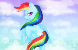 Size: 800x523 | Tagged: safe, artist:elkaart, rainbow dash, pegasus, pony, g4, cloud, on a cloud