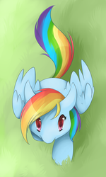 Size: 674x1124 | Tagged: safe, artist:opheleus, rainbow dash, g4, colored pupils, cute, dashabetes, from above