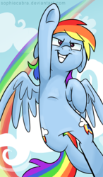 Size: 391x670 | Tagged: safe, artist:spainfischer, rainbow dash, pony, g4, female, solo