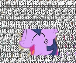 Size: 500x413 | Tagged: safe, twilight sparkle, g4, image macro, joy, wall of text, yes, yes yes yes