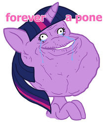 Size: 525x600 | Tagged: safe, twilight sparkle, g4, crying, forever alone, meme, rage face