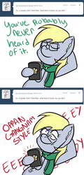 Size: 800x1668 | Tagged: safe, derpy hooves, pegasus, pony, ask hipster derpy, g4, ask, female, glasses, hipster, mare, tumblr