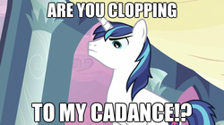 Size: 625x351 | Tagged: safe, princess cadance, shining armor, pony, unicorn, g4, angry, image macro, male, solo, stallion