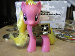Size: 1000x750 | Tagged: safe, cherry berry, pony, g4, annoy your coworkers, army, brushable, buisness card holder, irl, photo, pony toy, solo, toy