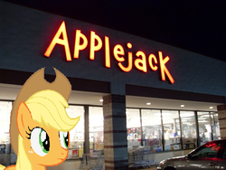 Size: 496x373 | Tagged: safe, applejack, earth pony, pony, g4, irl, photo, ponies in real life, store, vector