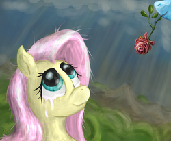 Size: 2432x2000 | Tagged: safe, artist:ddomius, fluttershy, rainbow dash, g4, crying, female, high res, lesbian, ship:flutterdash, shipping