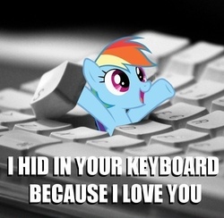 Size: 500x487 | Tagged: safe, rainbow dash, pegasus, pony, g4, arms in the air, bronybait, cute, dashabetes, female, i hid in your keyboard, image macro, irl, keyboard, looking up, mare, meme, open mouth, photo, ponies in real life, smiling, solo