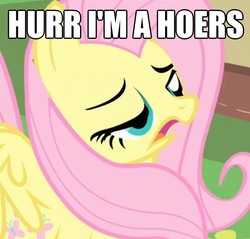 Size: 828x792 | Tagged: safe, fluttershy, g4, derp, image macro