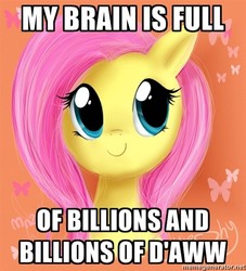 Size: 500x551 | Tagged: safe, artist:mn27, fluttershy, butterfly, g4, cute, image macro, meme, smiling, solo, text