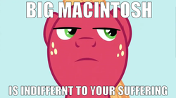 Size: 853x473 | Tagged: safe, big macintosh, earth pony, pony, g4, bucks given, image macro, male, stallion