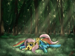 Size: 1600x1200 | Tagged: safe, artist:miokomata, fluttershy, rainbow dash, g4, female, lesbian, ship:flutterdash, shipping