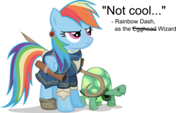 Size: 1600x1032 | Tagged: safe, artist:jittery-the-dragon, rainbow dash, tank, pegasus, pony, tortoise, g4, duo, egghead, female, mare, pathfinder, simple background, transparent background, wizard