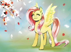 Size: 1000x722 | Tagged: safe, artist:mista-padderu, fluttershy, pony, g4, female, solo