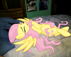 Size: 1280x1024 | Tagged: dead source, safe, artist:illuminatiums, edit, fluttershy, pony, g4, bed, belly button, irl, on back, photo, ponies in real life, sleeping, vector