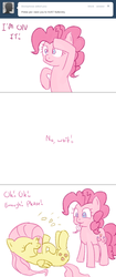 Size: 657x1562 | Tagged: safe, artist:speccysy, fluttershy, pinkie pie, ask fluttershy and pinkie pie, g4, ask, comic, feather, female, lesbian, ship:flutterpie, shipping, tickling, tumblr