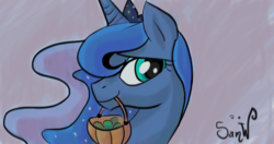 Size: 1440x759 | Tagged: safe, artist:sammywalle, princess luna, pony, g4, basket, female, mouth hold, solo