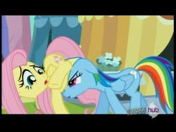 Size: 720x540 | Tagged: safe, screencap, fluttershy, rainbow dash, g4, season 3