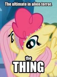 Size: 403x539 | Tagged: safe, edit, edited screencap, screencap, fluttershy, pinkie pie, g4, the crystal empire, cropped, image macro, joke, parody, pinkie spy, the thing