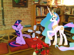 Size: 2048x1536 | Tagged: safe, artist:tokkazutara1164, princess celestia, twilight sparkle, alicorn, pony, unicorn, g4, anemometer, book, bookshelf, duo, ethereal mane, female, irl, library, mare, photo, ponies in real life, rose, sitting, smiling, unicorn twilight, vector