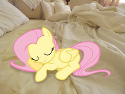 Size: 4288x3216 | Tagged: safe, artist:missbeigepony, artist:teiptr, fluttershy, pegasus, pony, g4, bed, eyes closed, irl, photo, ponies in real life, sleeping, smiling, solo, vector